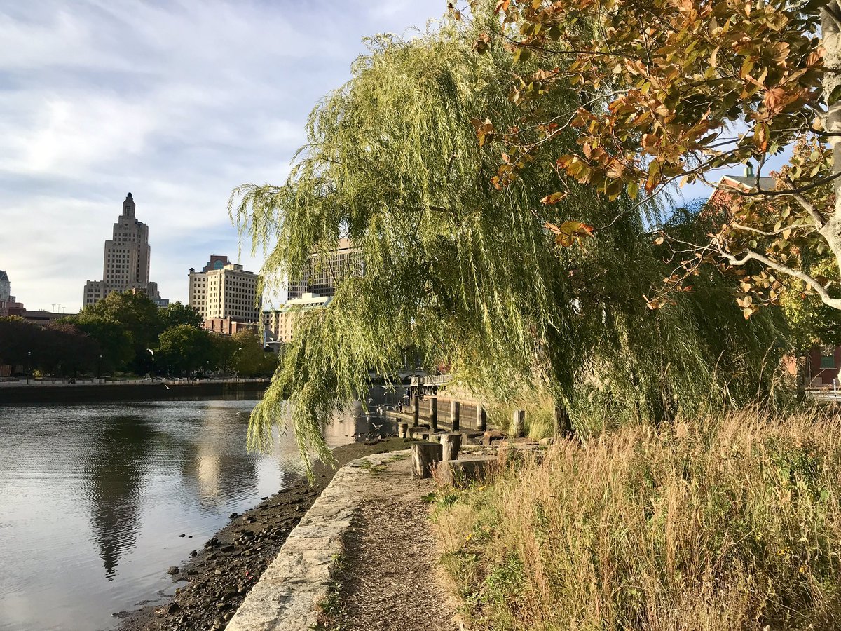 DesignUnderSky's tweet photo. #livingedgepvd still blooming with late season pollinators like the New England Aster and basking in the Autumn light as it turns a beautiful brown and gold.

#landscapearchitecture #providence #rhodeisland #urbanlandscapes #pollinators #urbanmeadows #designundersky. https://t.co/uY1VnuPvd5