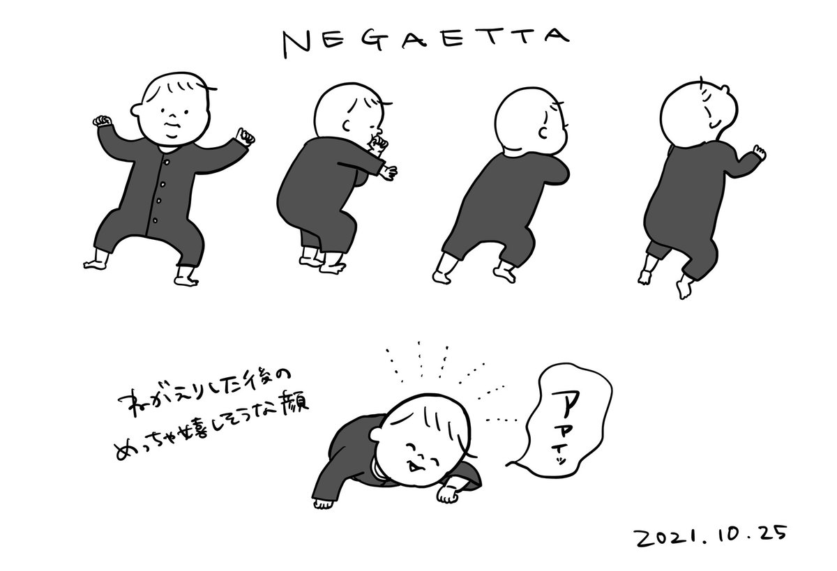 昨日の初寝返りから一日経ち、寝返りを完璧にマスターした次男。
もうソファの上には置けません😂

#むぴーの絵日記 