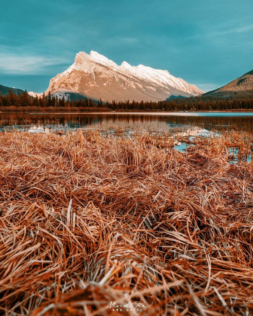 mindfixandchill's tweet photo. “Today is your day! Your mountain is waiting, So… get on your way!” – Dr. Seuss
.
Wishing everyone the greatest day possible.  Remember life is short and you only get one!
.
.
#raw_community_member 
#raw_allnature #raw_canada #raw_landscape #raw_moun… https://t.co/PUkZHsBvUo https://t.co/UCxM5SAZkq