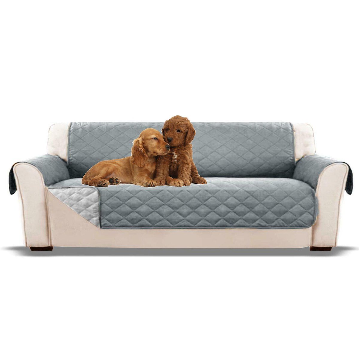 Fruugo_IE's tweet photo. BEST SELLER! Pet Sofa Covers Quilted Throw Washable Anti Slip Cover Couch Furniture Protector ONLY €19.95 at https://t.co/03OGqJIs6j

#sofa #covers #quilted #throw #washable #anti #slip #cover #couch #furniture #protector https://t.co/64s2lWL7zJ