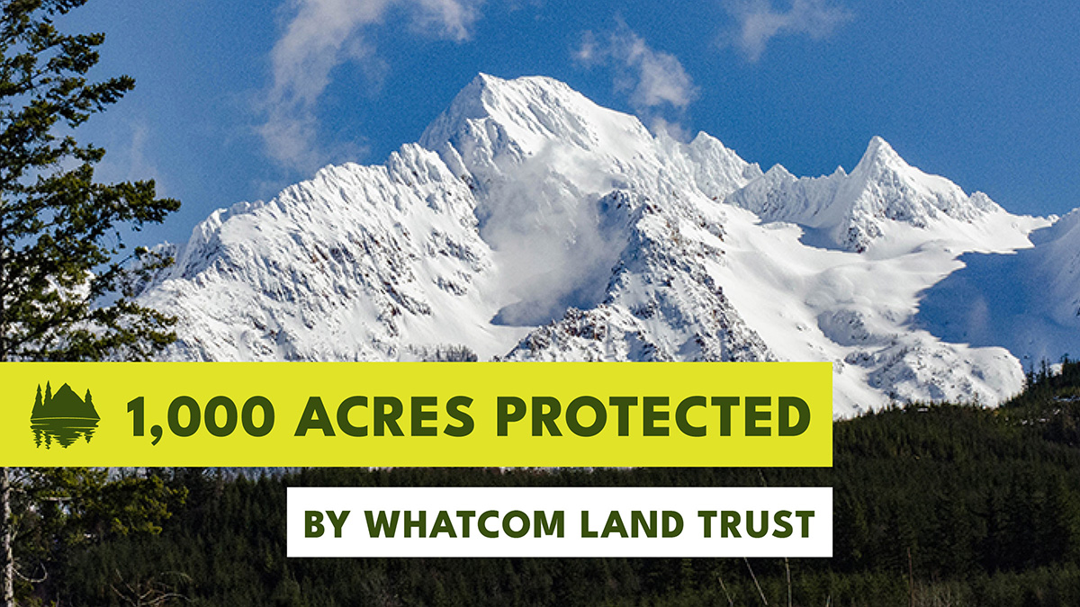 HydroFlask's tweet image. As part of @conservationall we support 50 conservation projects across North America every year—and share the successes!

Today we’re celebrating @whatcomland which recently helped acquire 1,000 acres in the Skookum Creek watershed in WA. #ParksForAll #WeKeepItWild
📸:Rich Bowers