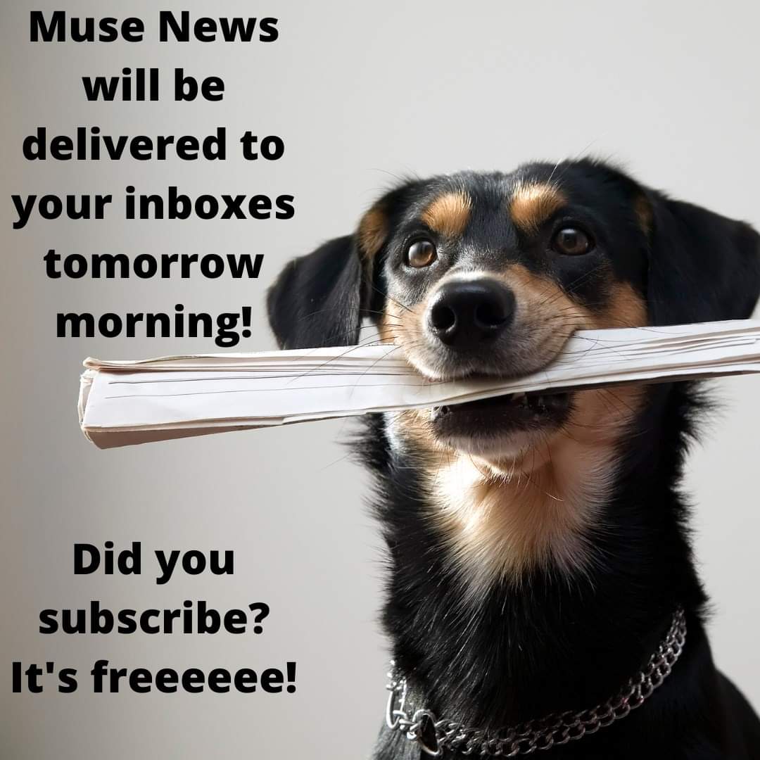 Muse Canada Inc tweet media