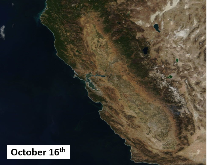 NWS Bay Area 🌉 tweet media