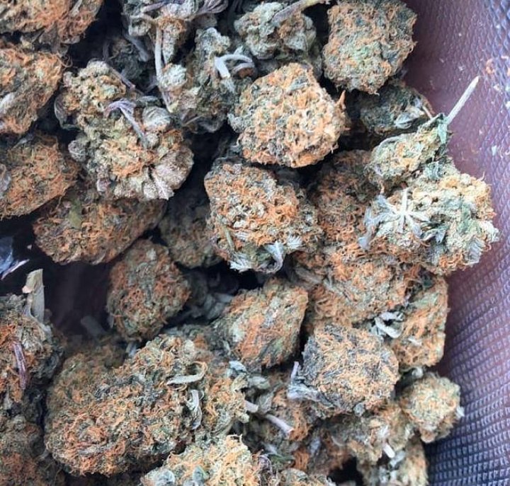 I'm the plug I got units for 17 all day and zips for 250, I'm looking for some good people you should come over to crew. Call or text +13144723035