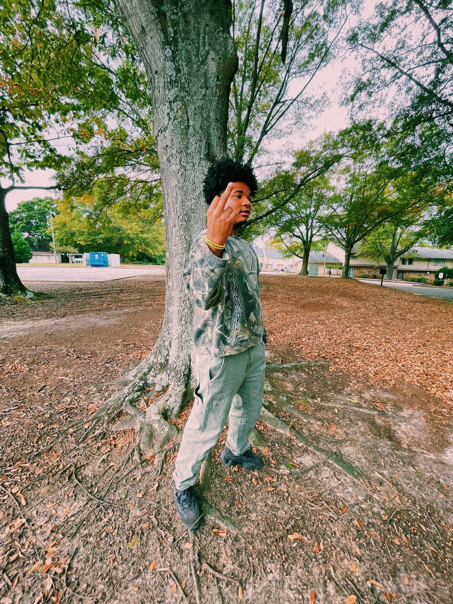 perkyfye's tweet photo. feel like tune 🌲 https://t.co/xBMeBxqEGc