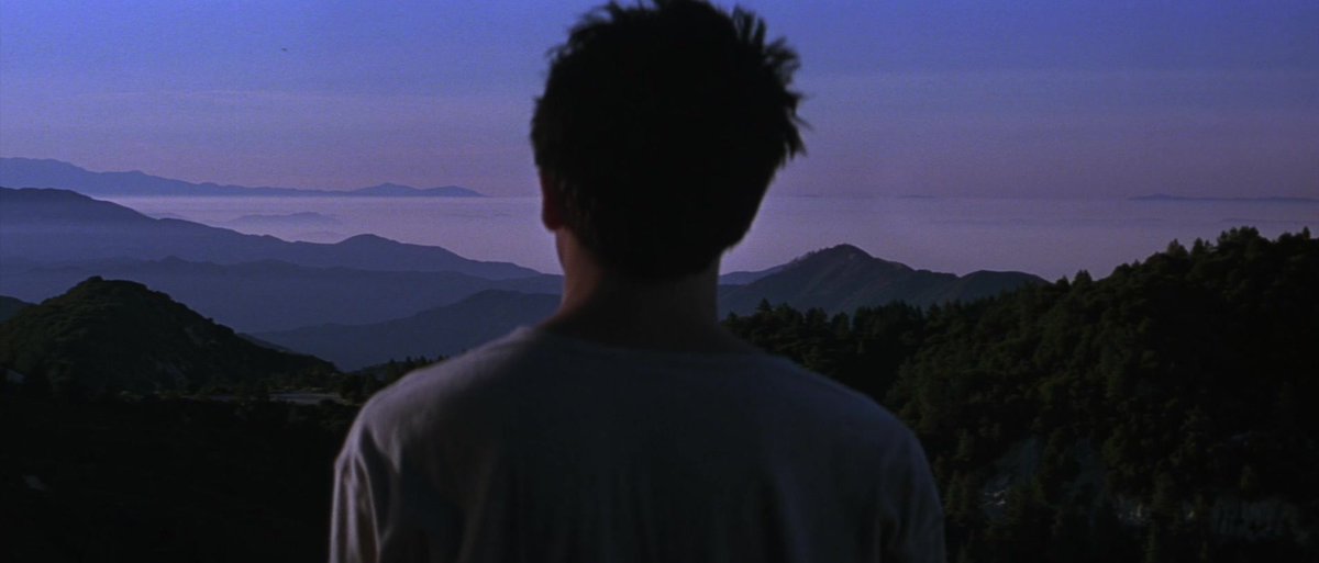 Letterboxd tweet media