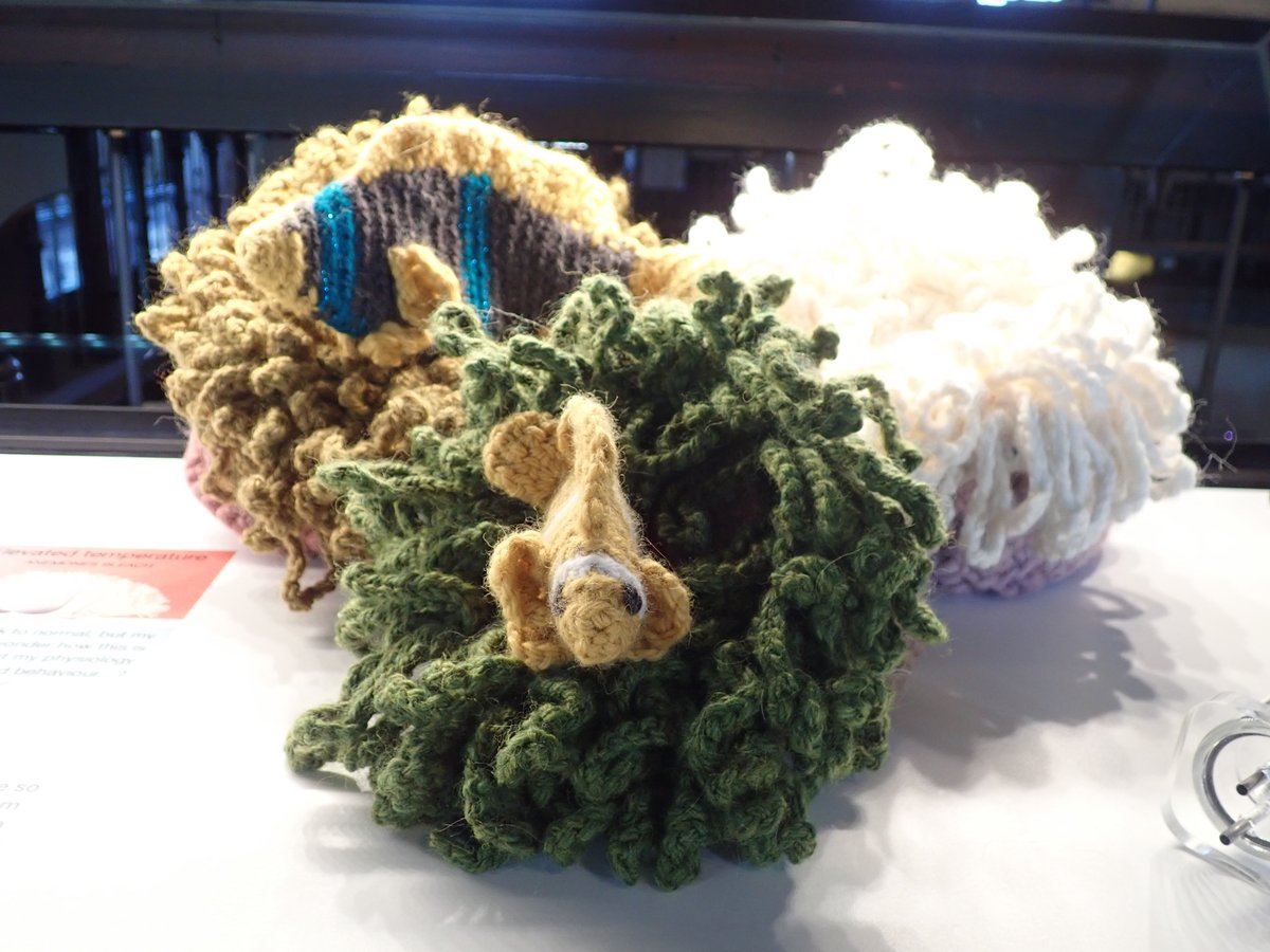 weebeastie75's tweet photo. Just installed our new #scienceshowcase @hunterian Part of our #changingclimatechangingstories programme for #Cop26 #Glasgow exploring new research on climate impacts by @IBAHCM including a Science showcase first original #plankton #origami designs and crocheted #anemones https://t.co/UIZJVp4bfQ