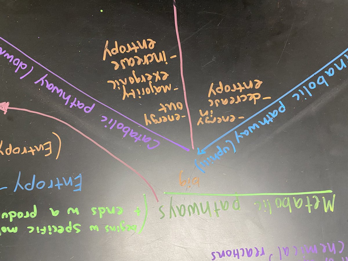 MNAPBio tweet picture