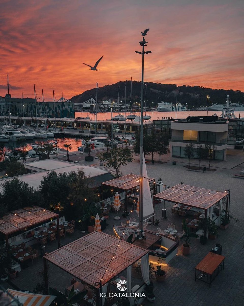 ✪ MENCIÓ DEL DIA ✪
★ AUTOR: <a href="/pcusinex/">pcusinex</a> ★
★ Seleccionada per: @pepaluna71 ★ ✪ Destacant la creativitat que ens inspira ✪
👉Segueix <a href="/IG_CATALONIA/">@ig_catalonia</a>
👉Etiqueta #IG_CATALONIA