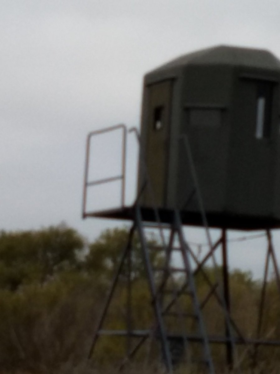 I am helping to solve the "food chain" problem. I shot my first deer of the season w/black powder. Nobody was shot today. Top rail is loose, almost fell in this cloudy weather.