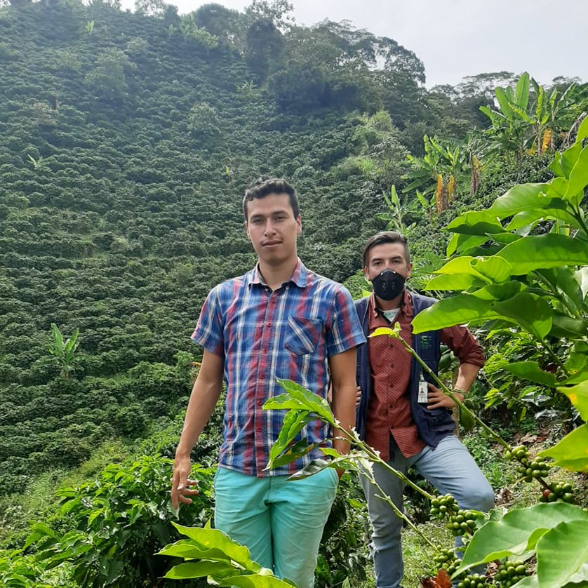 Genuine Origin Green Coffee tweet media