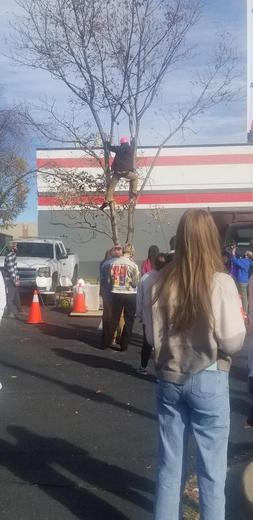 Marna Messer tweet media