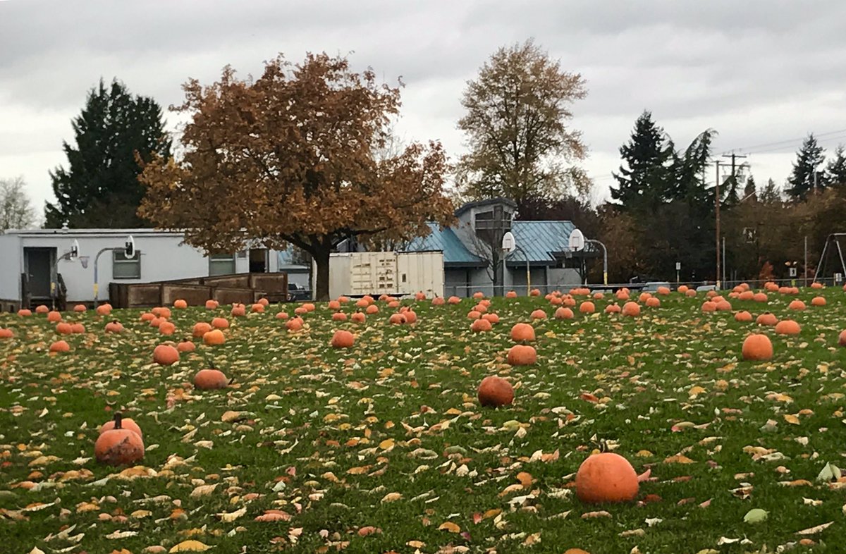 Our pop up pumpkin patch!Magic? Yes - our terrific student leaders and staff made it happen . <a href="/RILightning/">Richardson Elem</a> <a href="/deltasd37/">DeltaSchoolDistrict</a>