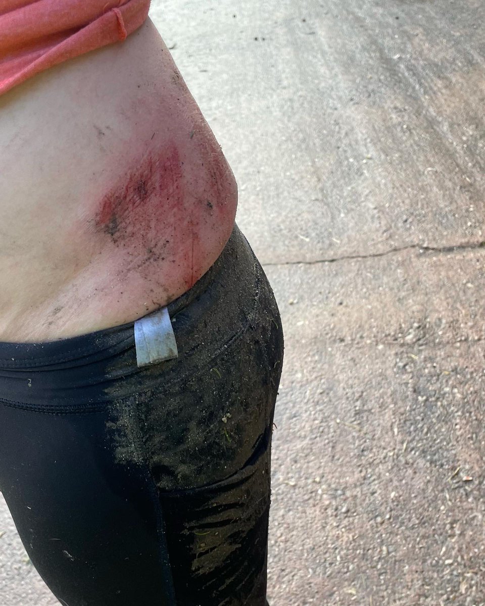 Is this why 30somethings should not ride new horses? I’m no rodeo rider. Bruised and battered, but not broken. Finding new bruises today. #jockeyschooltraining #tuckandroll #backoneadifferenthorse #stifftoday