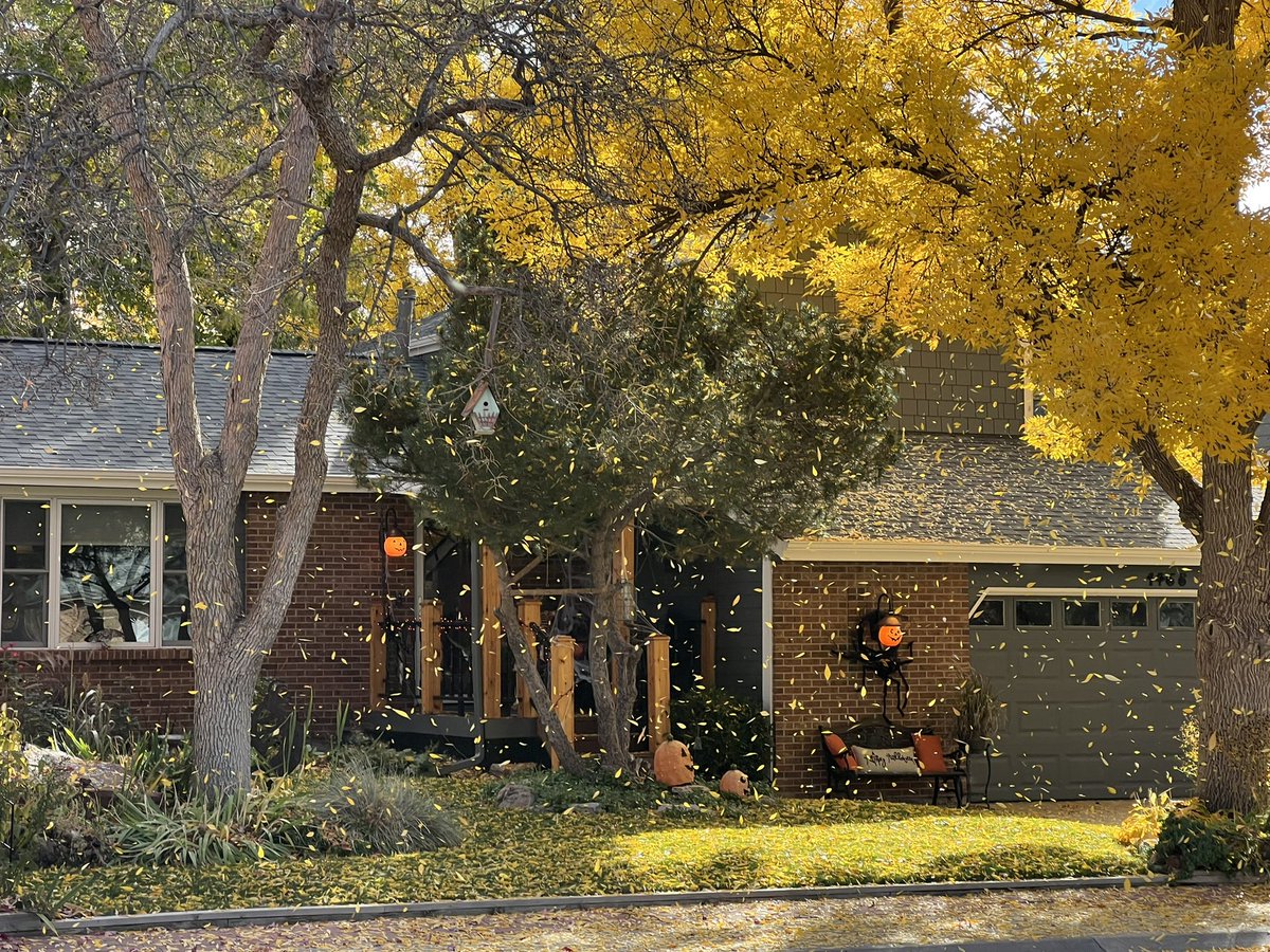 Yellow leaves falling from a tree in a gust of wind