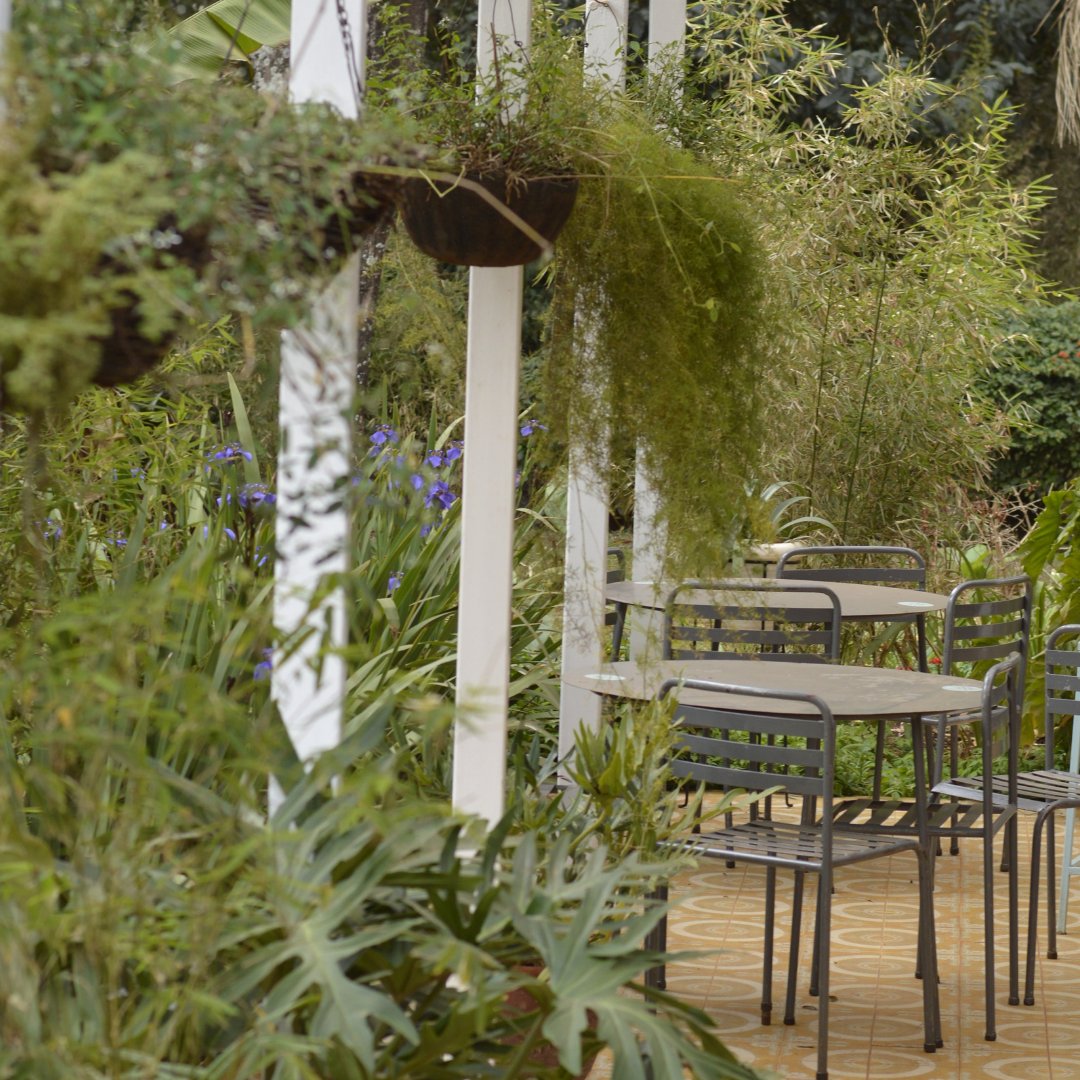 ikigai_ke's tweet photo. Looking to work in a peaceful outdoor environment? Then Ikigai Westlands, reopening November 1st, 2021, in a beautiful garden location on Peponi road, is the perfect workspace for you! 

Book a tour to Escape to Seren...
#IkigaiWestlands #Openingsoon #Coworking #Outdoorworkspaces https://t.co/zoiP8qfifi