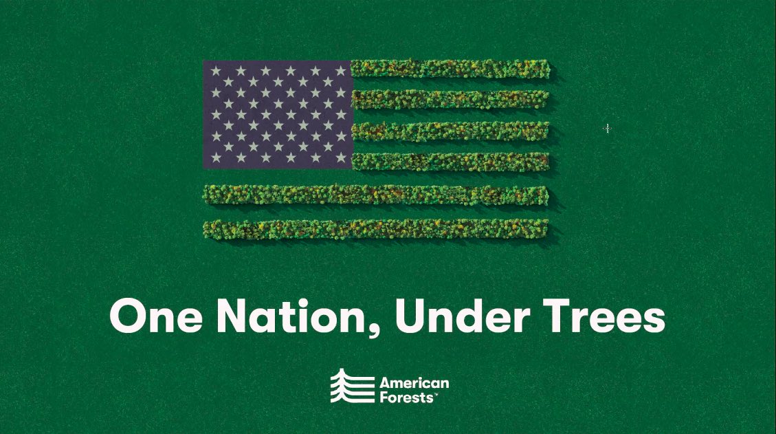 TVCanopy's tweet image. We’re excited to have our @CityOfBoise &amp;amp; City of Trees Challenge team join today’s Tree Equity Learning Lab w/ @AmericanForests &amp;amp; @DorisDukeFdn! 🙏 @JadDaley &amp;amp; @amazin_maisie for bringing us into this learning opportunity w/ over 100 inspiring leaders in the 🌳 &amp;amp; equity field.
