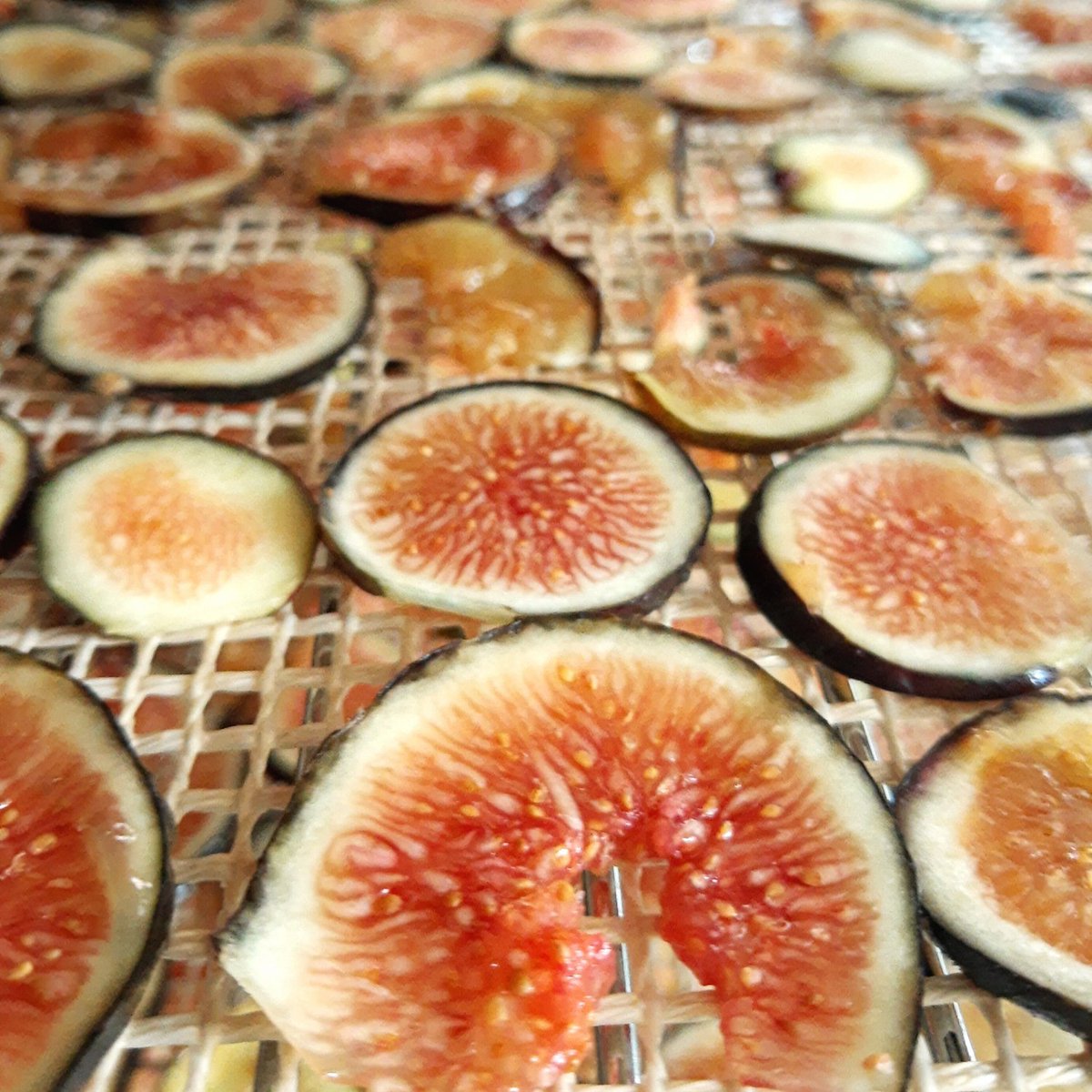 Solar4Eat's tweet photo. 𝗡𝗘𝗪 𝗙𝝖𝗠𝗜𝗟𝝪 𝗠𝗘𝗠𝗕𝗘𝗥 👌🏽🤤
We recently started a collaboration with a local fig producer. Now you will be able to find this new flavor in our dehydrated products. By purchasing it, you will also support this local producer 👩🏻‍🌾
#SOLTRIX
#Natural
#Sustentable
#Salubable https://t.co/DGdrlp9ma2
