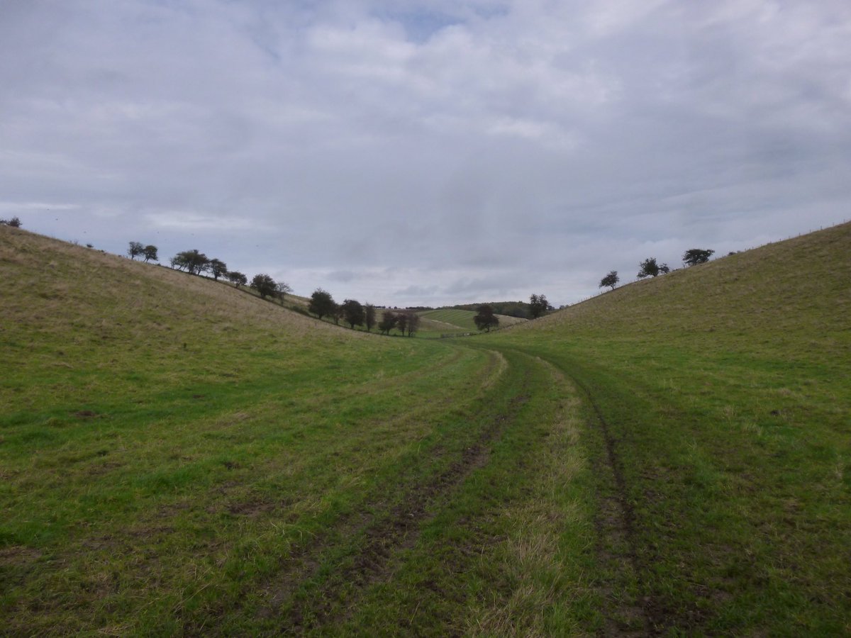FFofum's tweet image. Walkday around Cottam today, started under overcast skies &amp;amp; ended in blustery sunshine. Deer, spooky church &amp;amp; a view across East Yorkshire to the cooling tower at Saltend. #EastRiding #Wolds #walkday