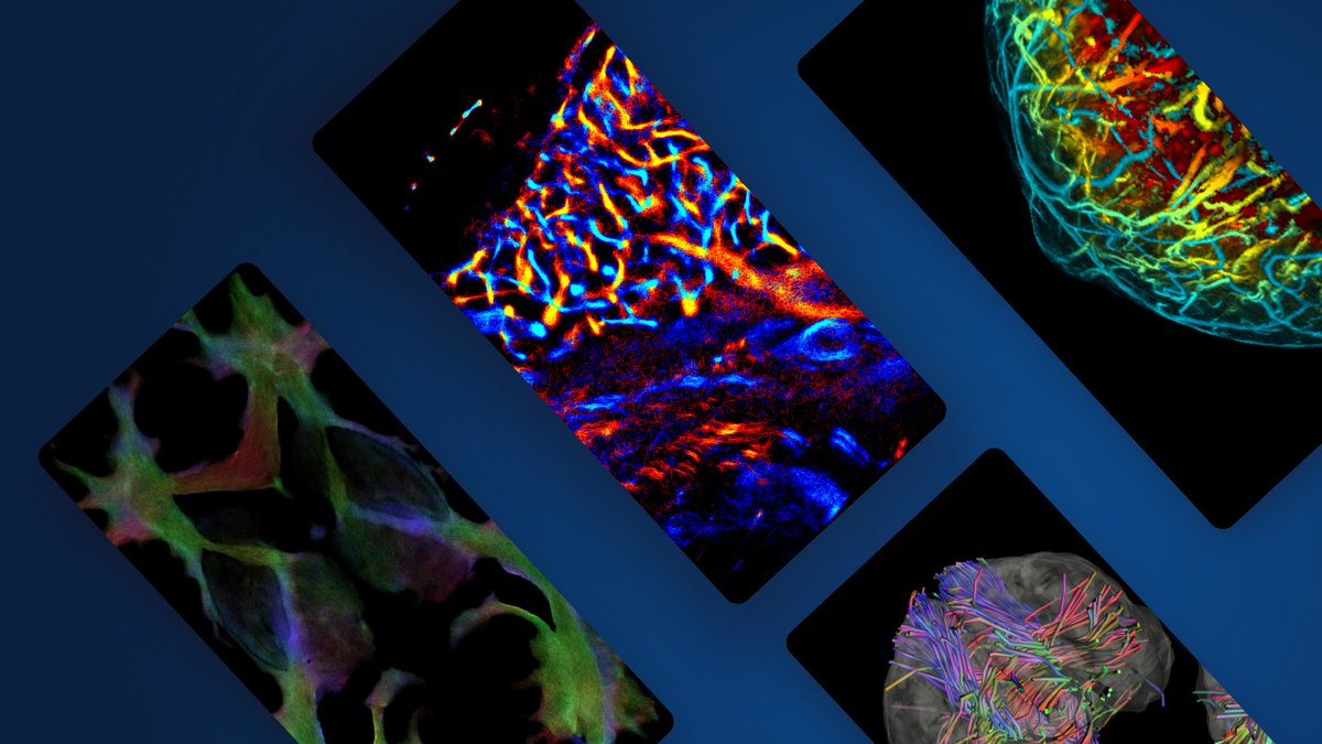 We are excited to launch our new Master of Science in Biomedical Image Computing program which will provide rigorous training at the intersection of biomedical #imagingscience, #machinelearning & #highperformancecomputing. Learn more and apply: bit.ly/3mhPJ3O