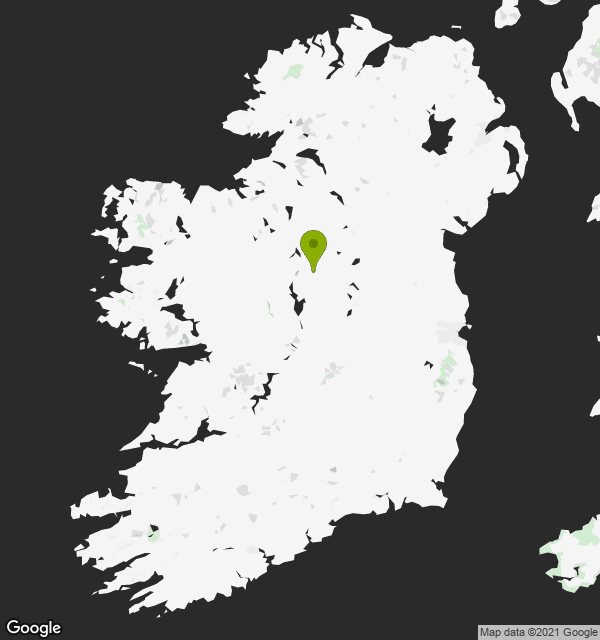 Mary Flanagan, a 32 year old Roman Catholic woman from St. Mels Road, Longford, Longford.