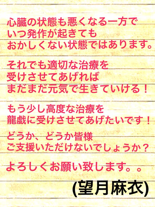 メインクーンのTwitterイラスト検索結果。