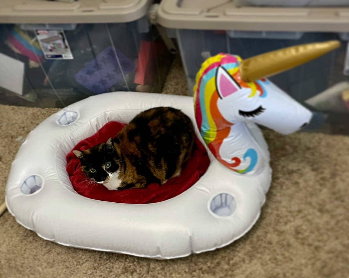 Yesterday Tiza decided she wanted to take a nap in the unicorn pool float and today it’s Touché’s turn.
I’m glad I put that blanket in there for them. Cuteness overload!

#DrinkWithTink #TinksCats #Floof #Cat #Kitties #PoolFloat #IfItFitsItSits #CutenessOverload