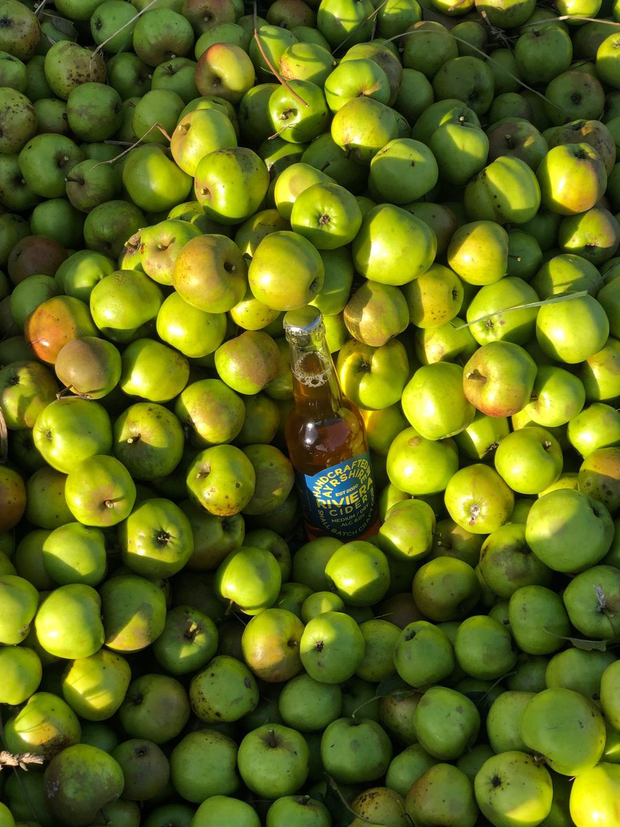CiderRiviera's tweet photo. Cider in the sun ☀️ https://t.co/sMAELPKKAV