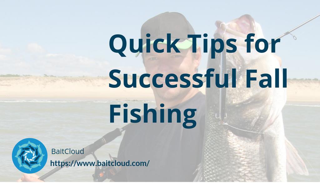 BaitCloud Fishing Corporation tweet media