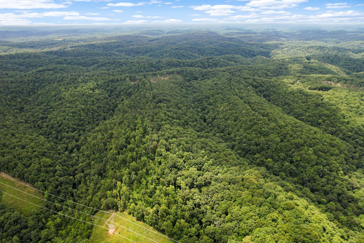 We may have found one of the last untouched paradises in the modern world nestled in a small town called Pegram #TN

Located just 17 minutes west of #Nashville 
Lots are now available at magnoliafarmswestnash.com

BYOB/Bring Your Own Builder #RealEstate #realtor 🏡