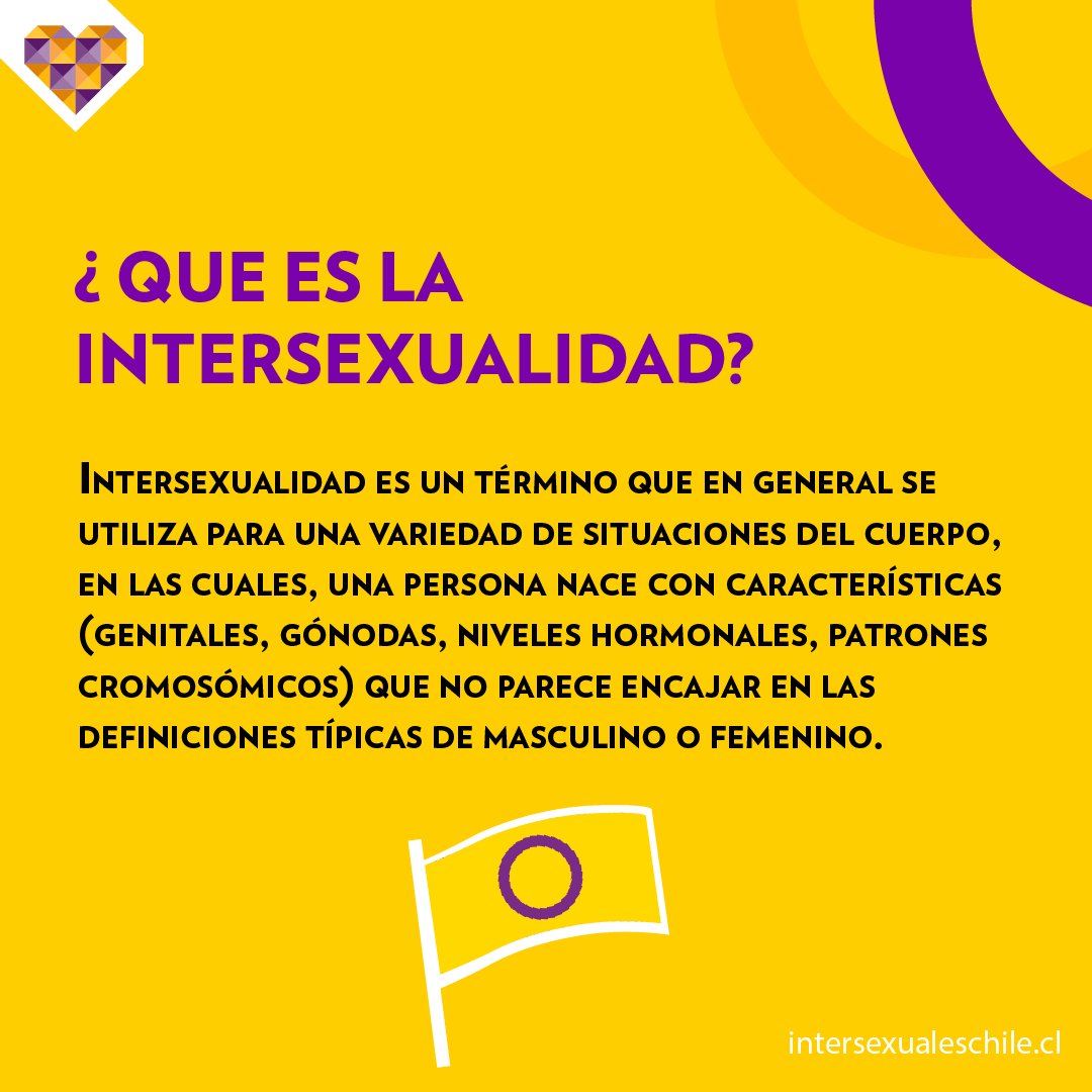TodoMejora's tweet photo. En el #DíaDeLaVisibilidadIntersex queremos que sepas que todos los cuerpos son válidos, únicos y maravillosos 💜💛
#TodoMejora #ItGetsBetter #LGBTIQ+ #Chile #Diversidad #Niñez #Infancia #intersexuales
#visibilidadintersexual #visibilidadintersex #intersex #intersexchile https://t.co/wmbKksx2No