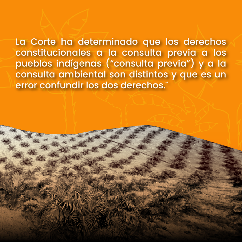 CEDENMA tweet media