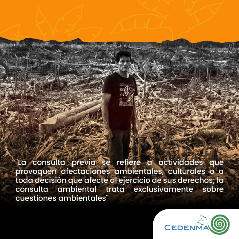 La <a href="/CorteConstEcu/">Corte Constitucional</a> falló a favor de los derechos de la Naturaleza. 

- Ampliación de la consulta ambiental. 

#ConsultaAmbiental
#ConsultaPrevia
#ConsultaPopular
#DefensoresAmbientales
@Ambiente_Ec , @RecNaturalesEC , <a href="/Presidencia_Ec/">Presidencia Ecuador 🇪🇨</a>, <a href="/LassoGuillermo/">Guillermo Lasso</a>