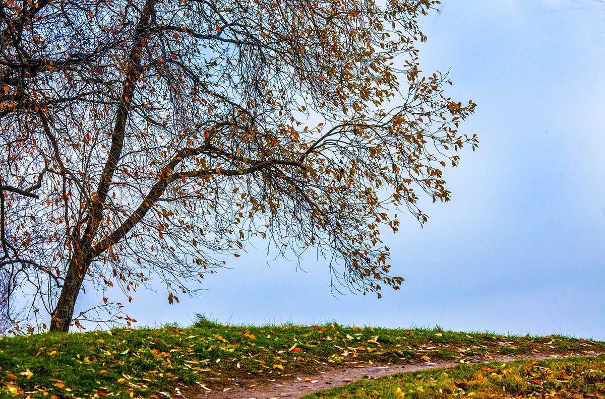 OlliSulin's tweet photo. Finnish Autumn Moods in October 26.10.2021 @OlliSulin @OurFinland @DiscoverFinland @thisisFINLAND https://t.co/5ae6PuCgHq