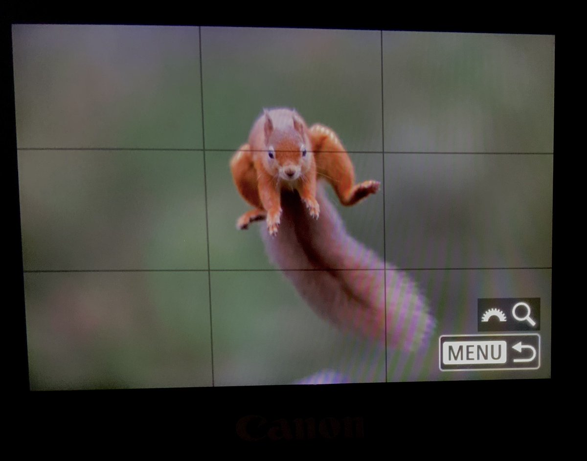 AustinTphoto photo