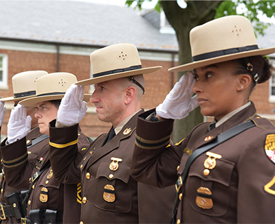 MDSP tweet picture