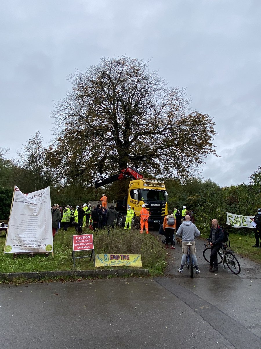 <a href="/GwneudYTro/">Nia🍃💚🍃</a> <a href="/NatResWales/">Cyfoeth Naturiol Cymru | Natural Resources Wales</a> @CoedCadw <a href="/IoloWilliams2/">Iolo Williams</a> <a href="/BeMoreSquirrel/">Green Squirrel</a> <a href="/AnnaMcMorrin/">Anna McMorrin MP</a> <a href="/CardiffCivicSoc/">Cardiff Civic Society</a> <a href="/TreesNotCars/">Trees Not Cars MCR</a> <a href="/WTWales/">Wildlife Trusts Wales</a> <a href="/RSPBCymru/">RSPB Cymru</a> <a href="/Hs2Rebellion/">HS2 Rebellion</a> <a href="/XRebellionUK/">Extinction Rebellion UK 🌍</a> <a href="/ReclaimCardiff/">RECLAIM CARDIFF -- EIN DINAS NI</a> <a href="/HETRA14/">Hollybush Estate TRA</a> <a href="/gailada30572184/">Save our green spaces 🍃💚🍃</a> <a href="/PenrhosSave/">ACHUB PENRHOS / SAVE PENRHOS NATURE RESERVE 🍃💚🍃</a> And here is the heavy machinery right next to it doing damage already!