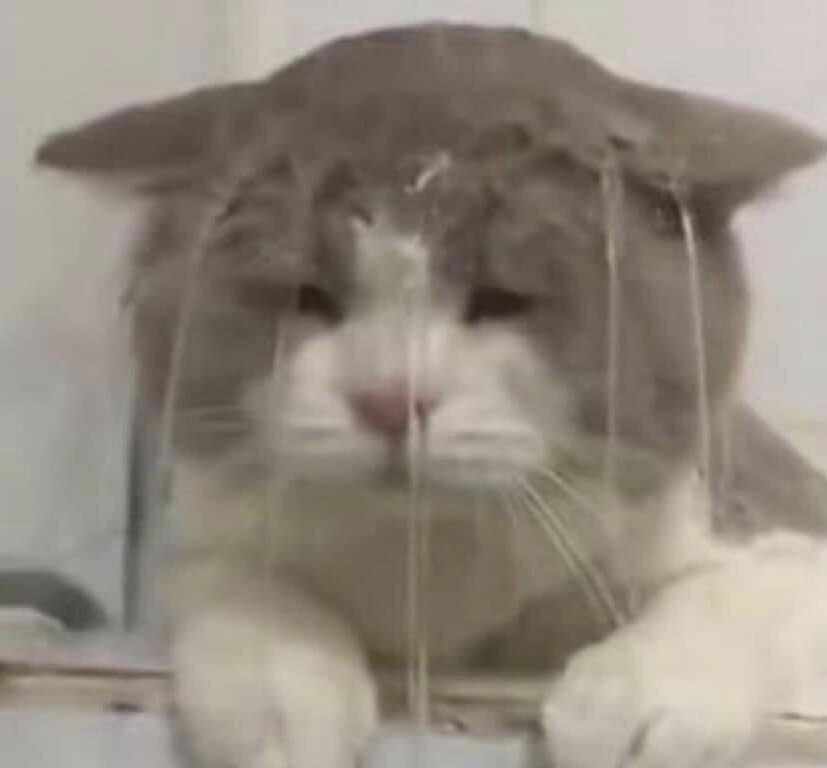 Cuando ya diste todo de ti y apenas es martes.