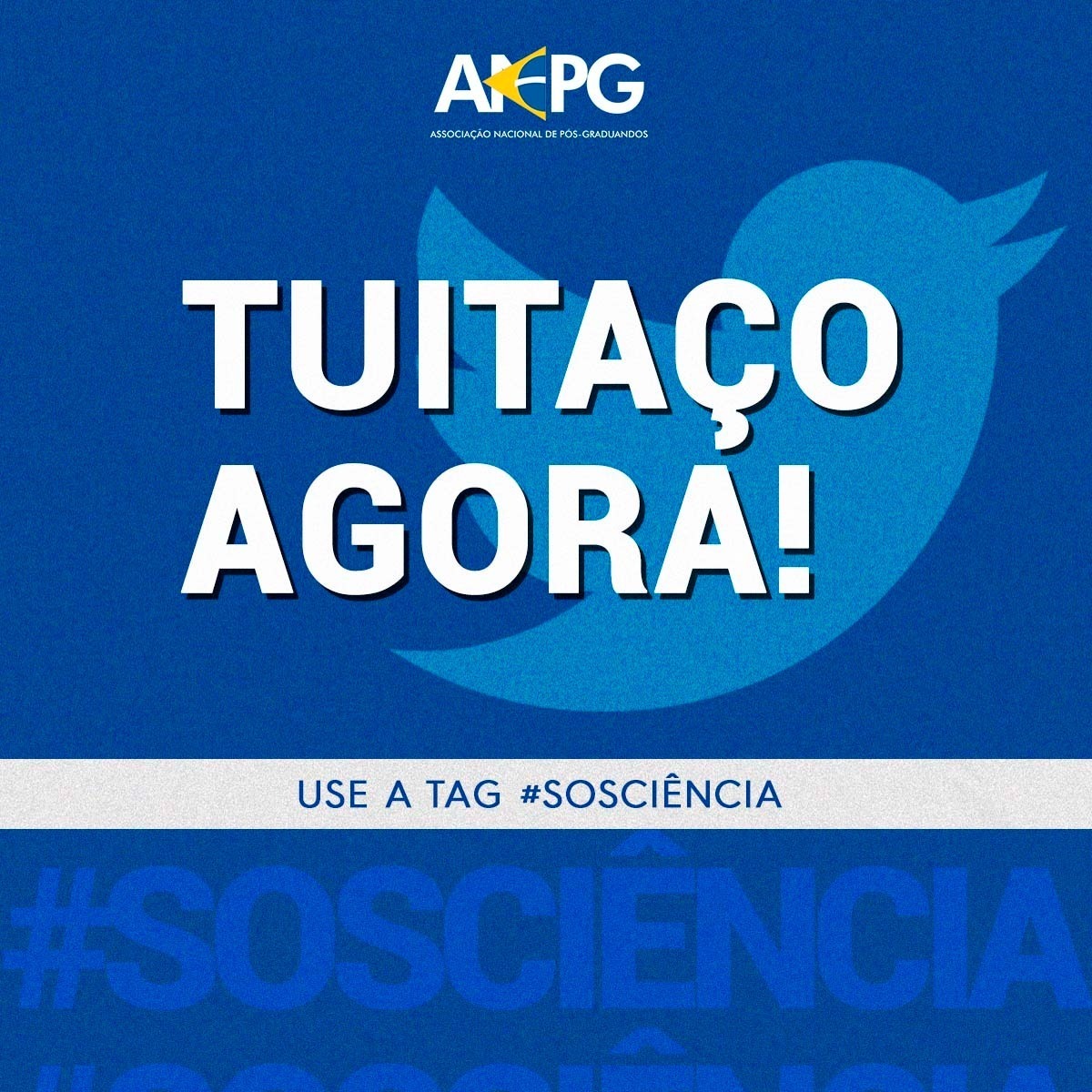 anpg's tweet photo. Começando agora o tuitaço em defesa do reajuste das bolsas, da liberação imediata dos recursos do FNDCT e da recomposição urgente do orçamento da Ciência e Tecnologia.

#SOSCIÊNCIA

Acesse o banco de tweets https://t.co/Y1xfZrdvQM https://t.co/5poK9PZB8m