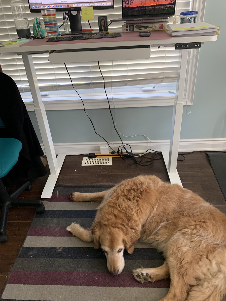 Amy Gaukel tweet media