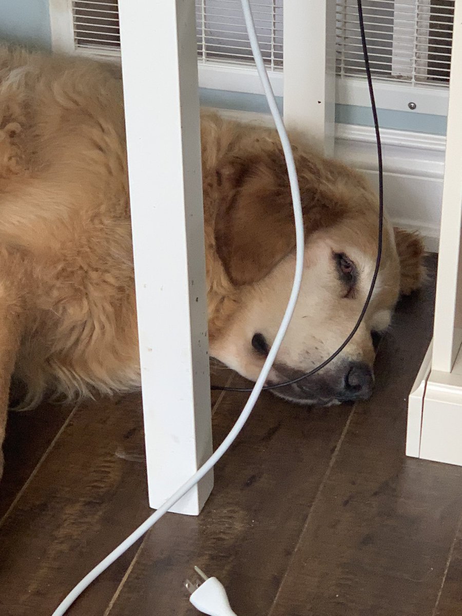 Amy Gaukel tweet media