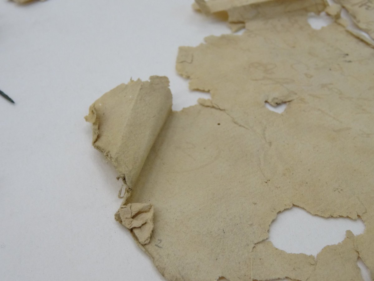 TheBiblioGeek's tweet image. Some fragments to untangle and repair.

#PaperConservation #Muddle #Damaged #Preservation #Archives #Repair #Paper #Old #Somerset #History #HandSkills #BeforeConservation #BehindTheScenes