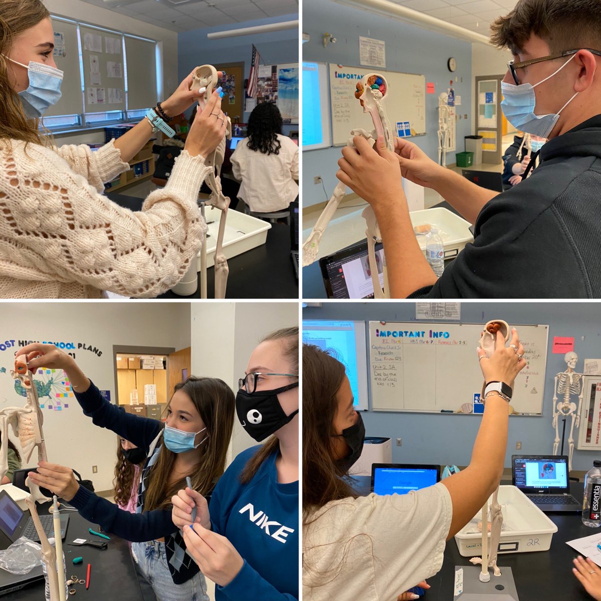 CHS Science tweet media