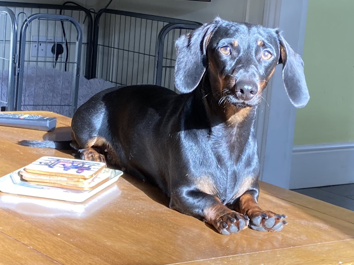 When the sun shines on your coffee table there’s no other option but to get tight on it - according to Tiggie