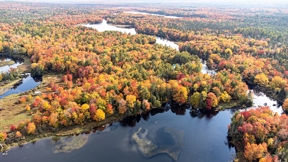 VisitYAS's tweet photo. You don't want to miss a chance to experience @TroutPointLodge - especially in the fall! 😮🍂🍁
#NSLeafWatch #VisitYAS #VisitNovaScotia #ExploreCanada @VisitNovaScotia @ExploreCanada https://t.co/1PBucA09xe