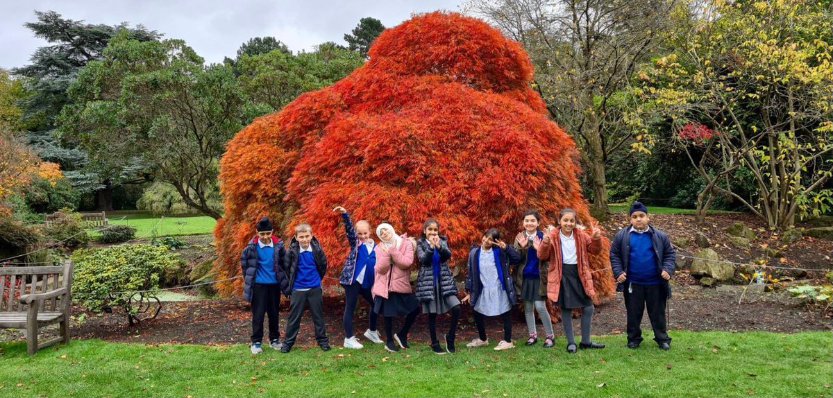 Rowlatts_TMET's tweet photo. Year 4 have had a fantastic day at the Botanical Gardens to launch our South America Topic 🤩 #welovelearning #rmtopic #enrichment https://t.co/kuVrJ5gPdE