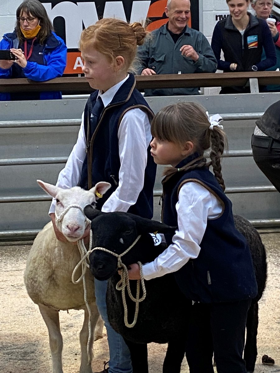 Rural Law Practice tweet media