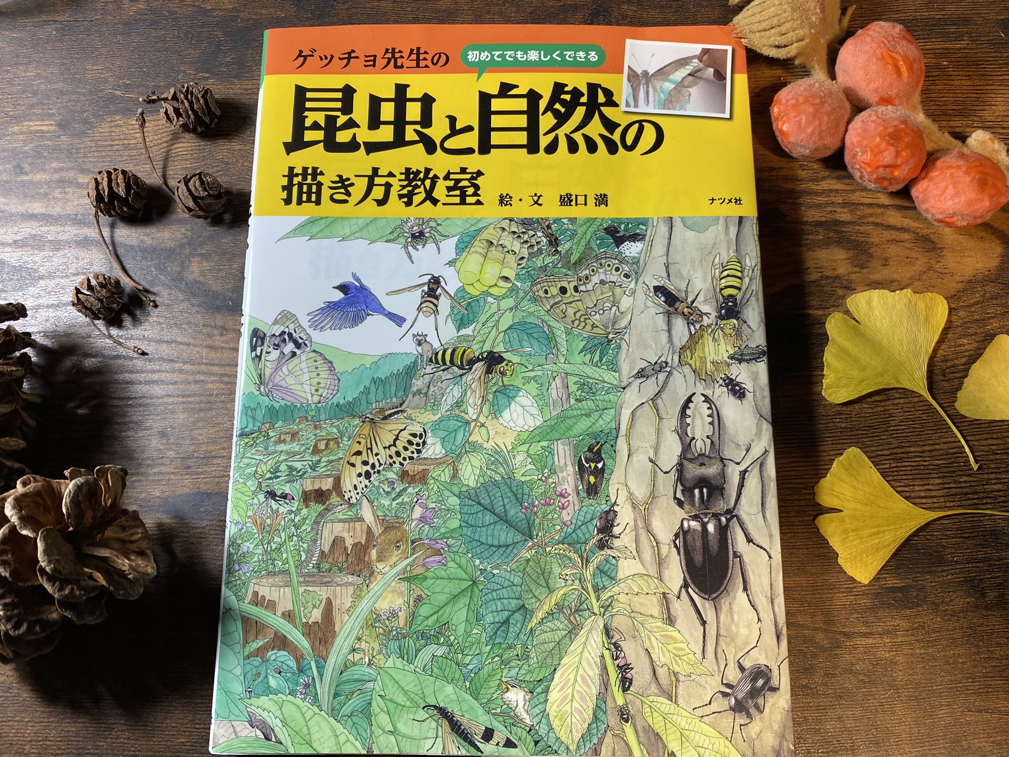 川崎 映 生き物系画集 絵の図鑑の収集24 ワイルドライフ スケッチブック 原題 Wildlife Sketchbook 山と渓谷社 1984年 Keith Brockie キース ブロッキー イギリスの自然 画家 キース ブロッキーさんのスケッチ集 スコットランドの自然が克明に描か