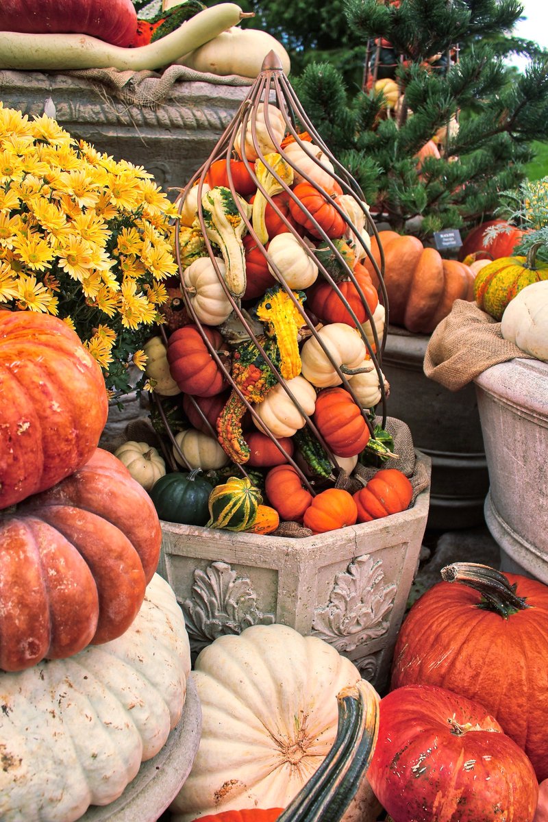 longwoodgardens's tweet photo. Happy #NationalPumpkinDay! https://t.co/UVvnJwHl9e