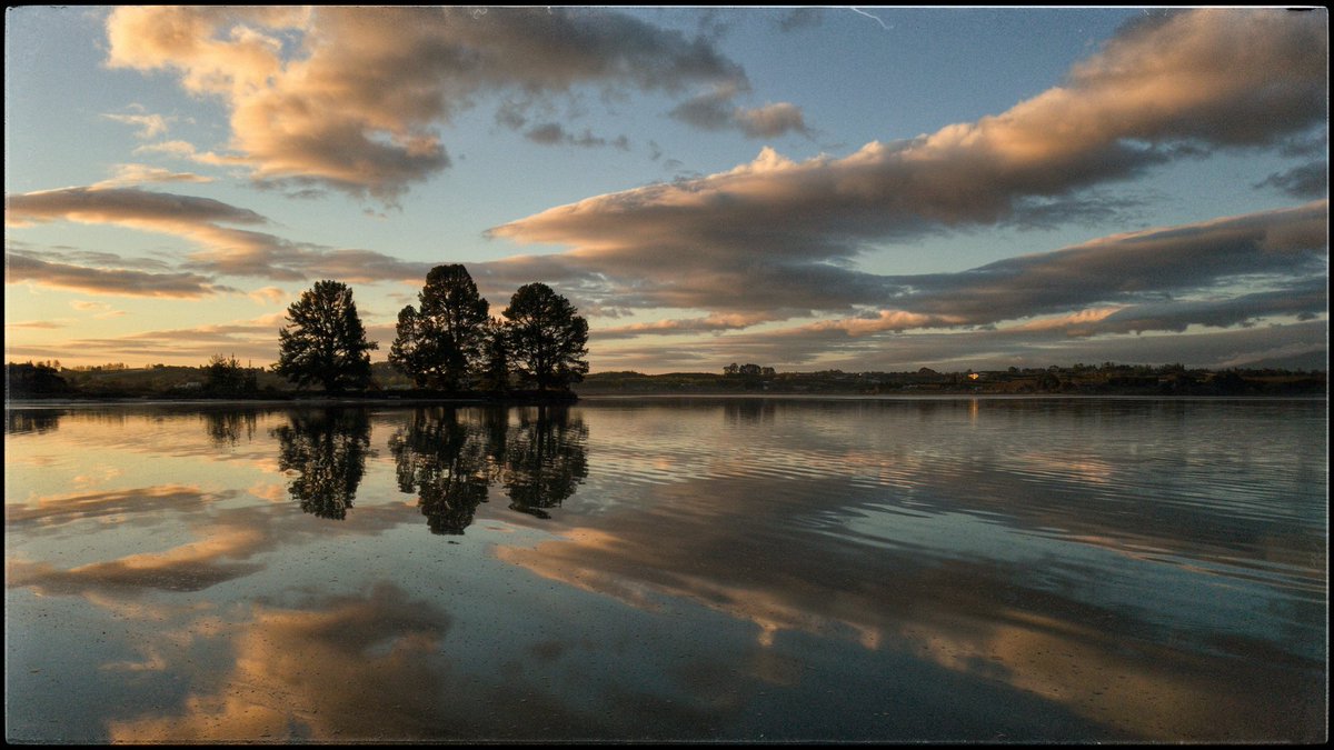 hottriggered's tweet photo. Peacefully Pineing
4 pine island, where
we can consider in
estuarine silence
each tree's name;
Tolerance
Respect
Empathy
Kindness
For all of us in
this, yours, mine, our world
2017 archives
enjoy your day
#sunrise
#Tuapiro
#Aotearoa
#NewZealand
(C) #hottriggeredkiwi https://t.co/EjsMdXKcZu
